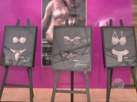 14&ordf; Felinju - Feira de Lingerie de Juruaia 2011